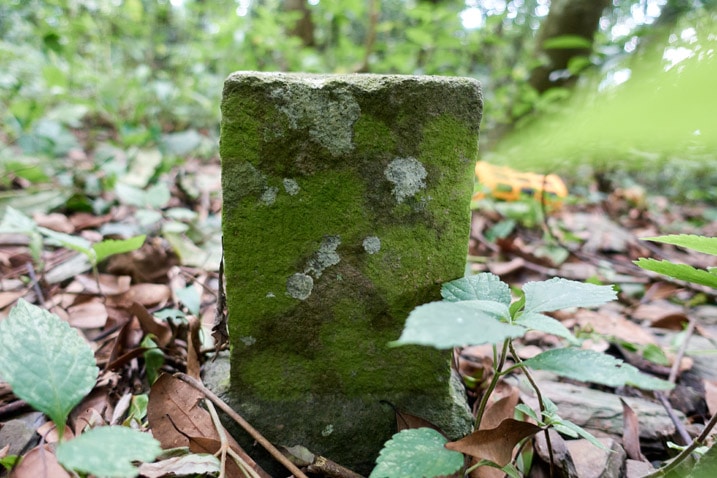 Closeup of moldy triangulation stone
