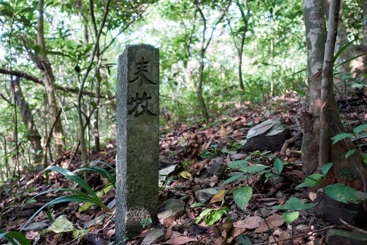 Stone pillar in forest - Two chinese characters written on it