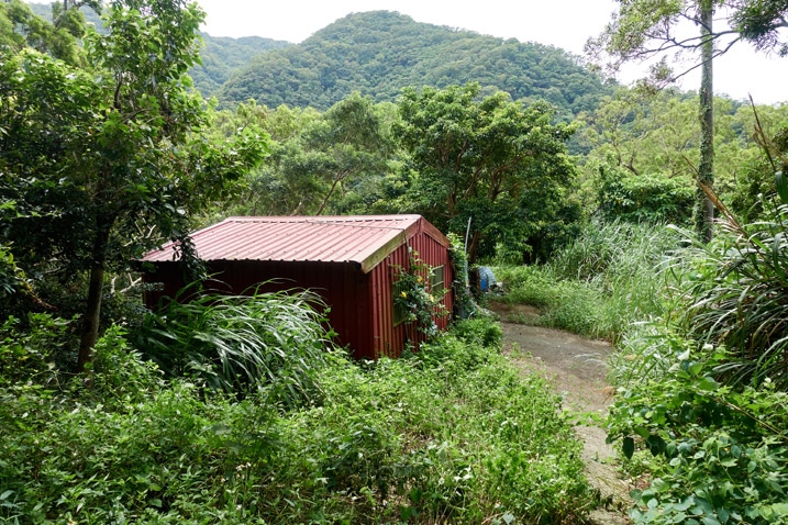 Abandoned red house in jungle - mountains in background