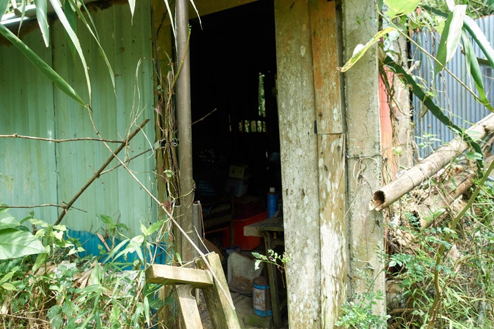 Looking inside abandoned structure