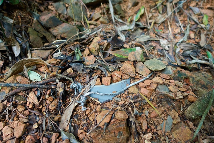 Closeup of snare trap