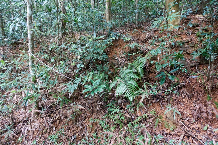 Snare trap hidden on mountainside - rope in plain view