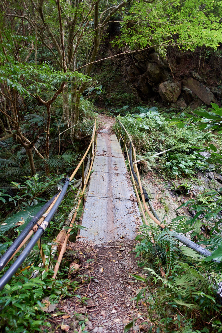 Homemade footbridge over mountain stream