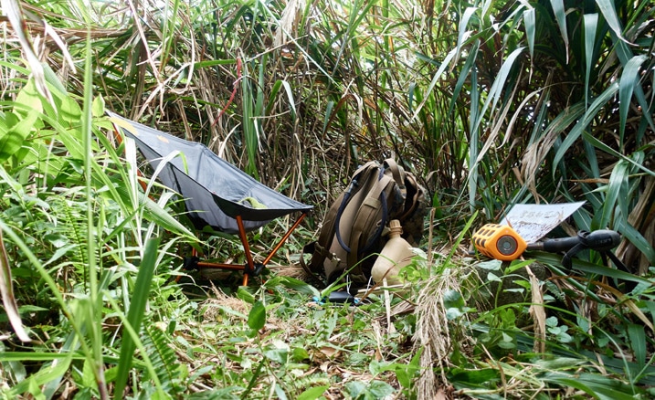 Small open area with tall grass surrounding it - chair, backpack and other items in cleared area