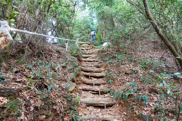 Mountain trail with small logs used to make stairs - rope on left - person at top