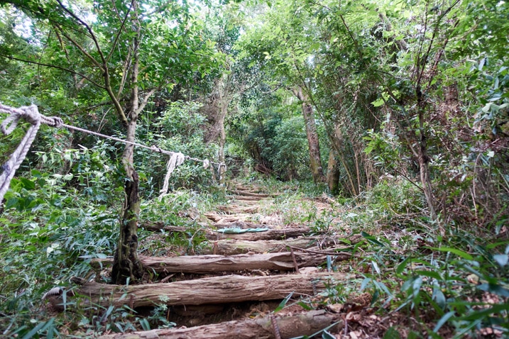 Mountain trail with small logs used to make stairs - rope on left