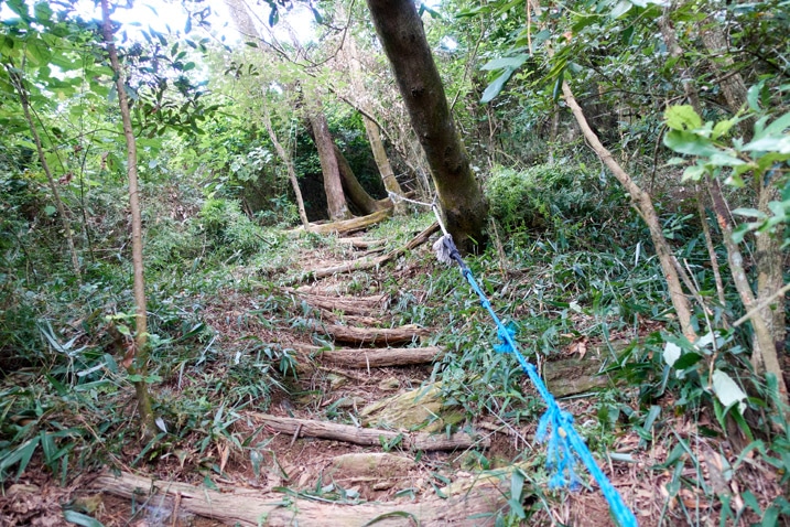 Mountain trail with blue rope on right - small logs used to make stairs