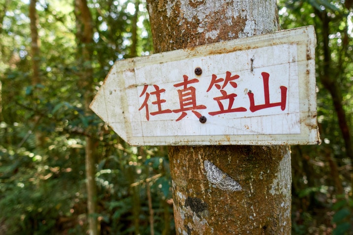 White sign attached to tree pointing to the left with Chinese characters written on it 