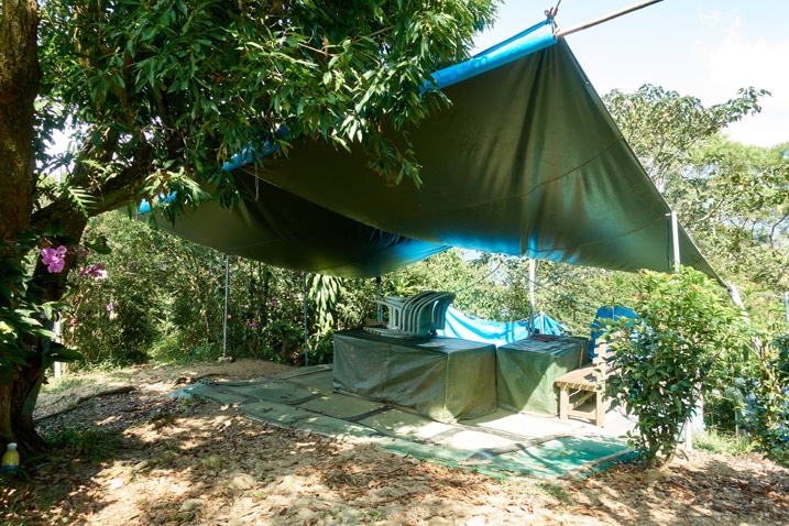 Tarp above table and chairs trees all around