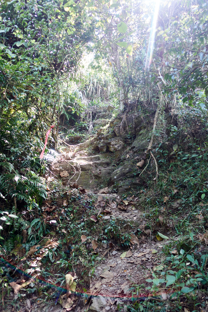 Rocky trail going steeply up mountain - trees and vegetation on either side