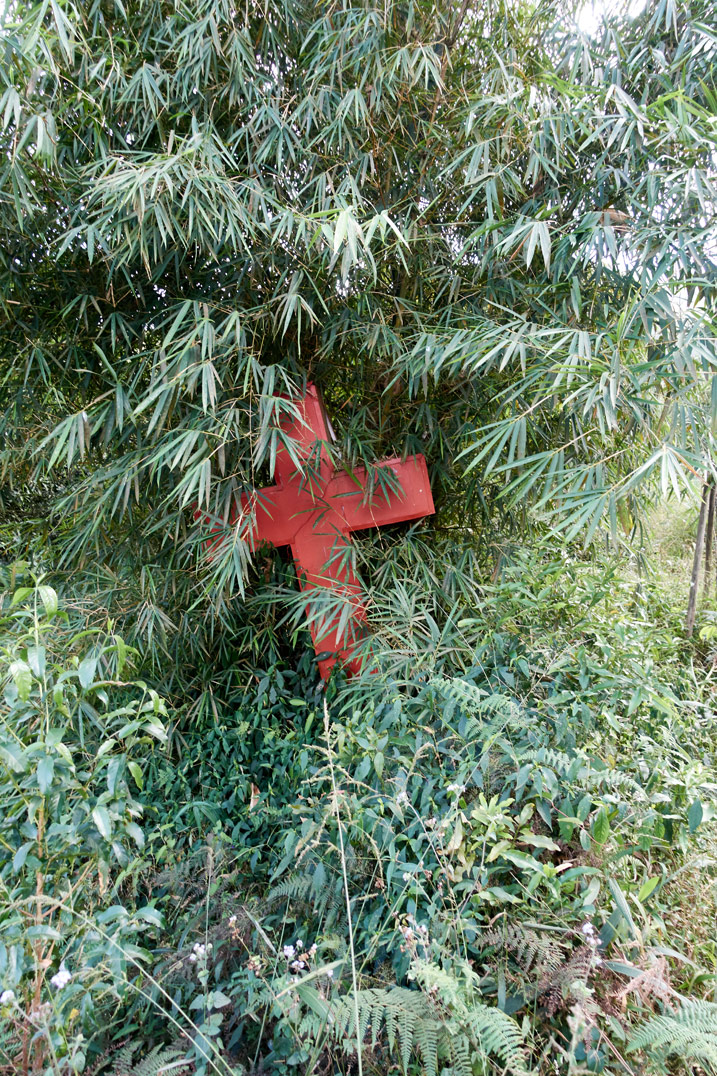 Red Chirstian cross on ground with trees and vegetation growing all around it