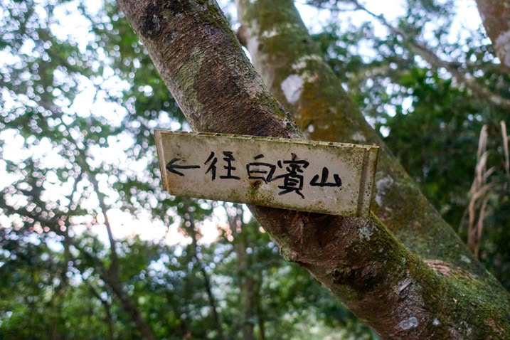 Sign attached to tree with Chinese characters written on it