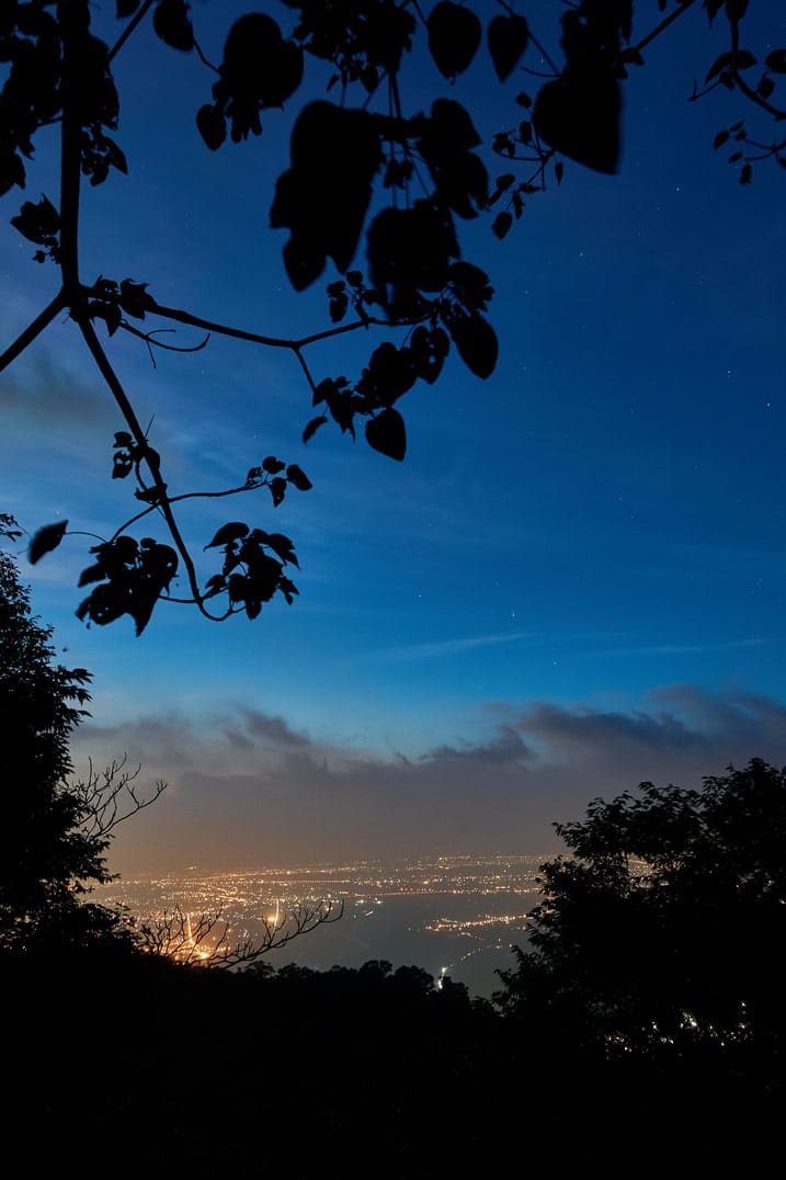 Night picture of stars above and lights of city below - trees black in the foreground