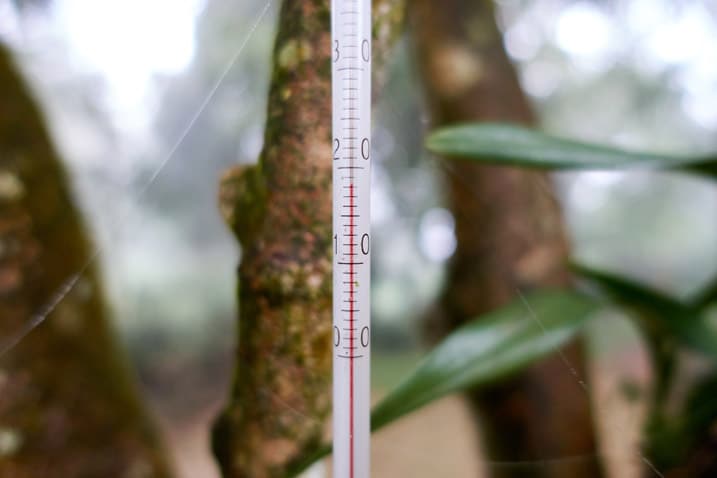 Closeup of a glass thermometer - tree in background