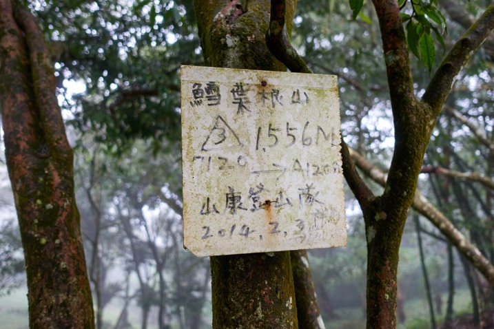 White sign with black Chinese characters attached to a tree