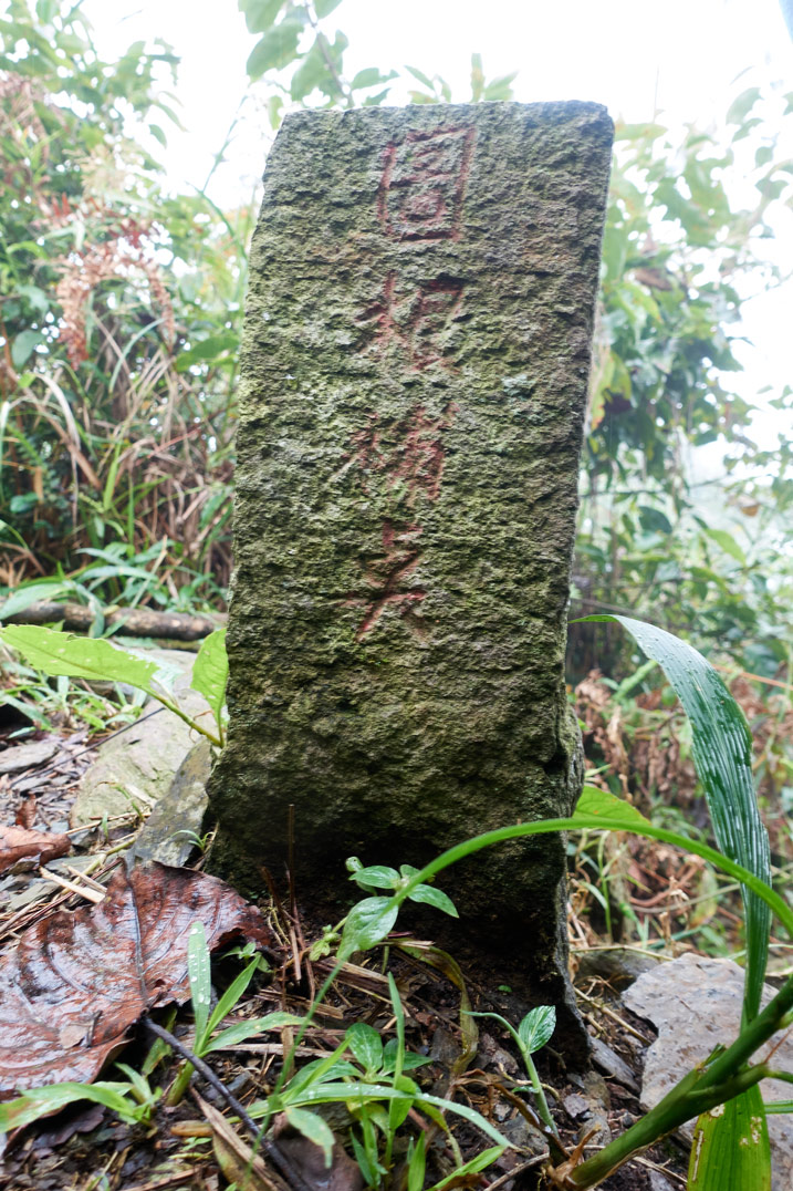 Closeup of triangulation stone for ZhenLiShan Southeast Peak - 真笠山東南峰