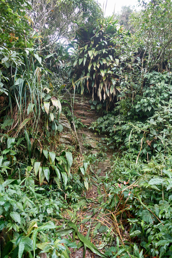 Steep rock-face - jungle - rope in center