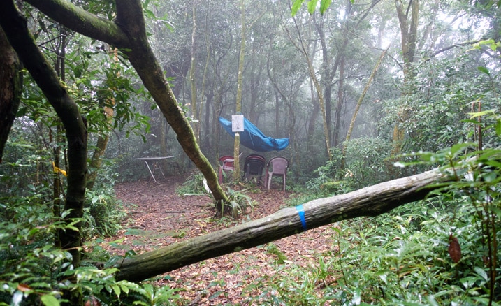 Open area with chairs, tarp, and table - fallen trees - foggy