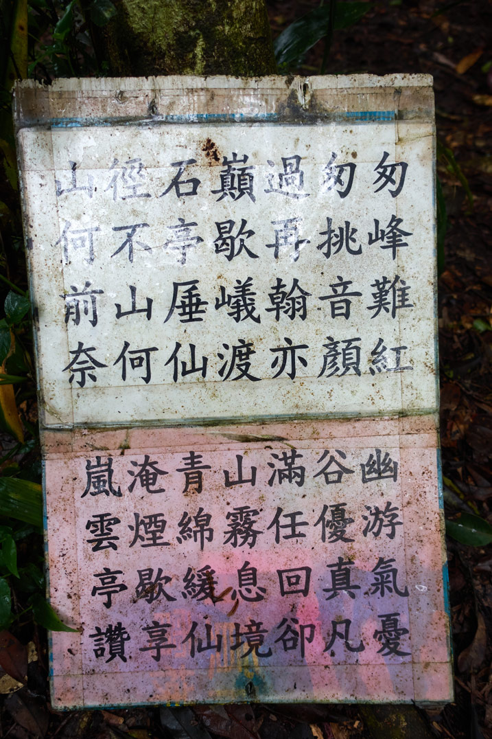 Closeup of signs in Chinese attached to a tree