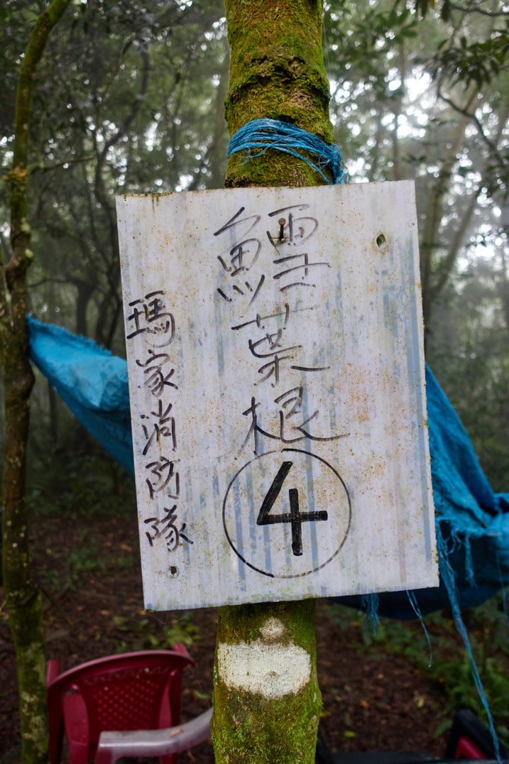 White sign attached to tree with Chinese writing on it