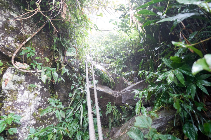 Rope going up rocky climb - jungle all around