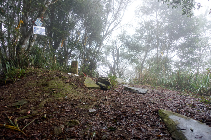 Open area on top of mountain - foggy - triangulation stone for 鱈葉根山 - XueYeGenShan and many trees