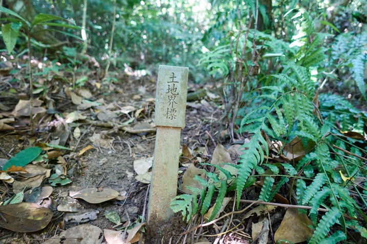 Plastic marker next to trail - chinese writing on it