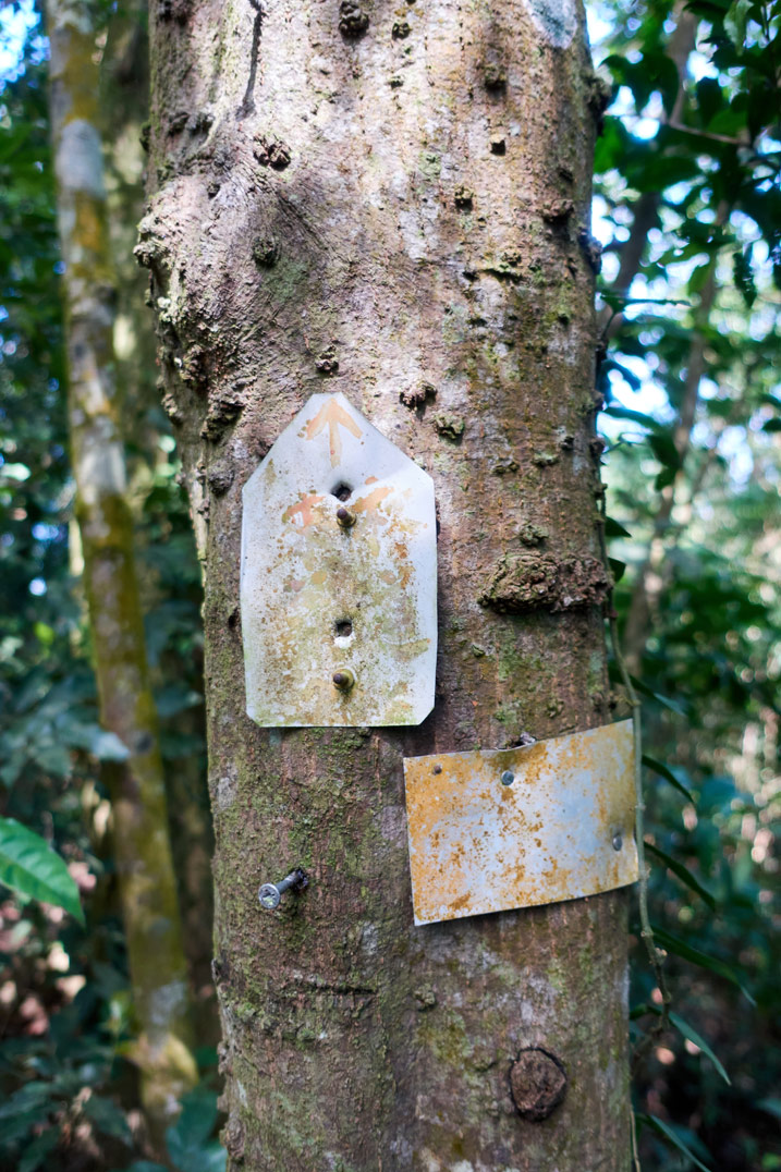 Two small signs nailed to a tree