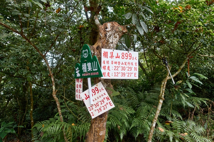 Many signs attached to a tree - PengJiShan - 棚集山