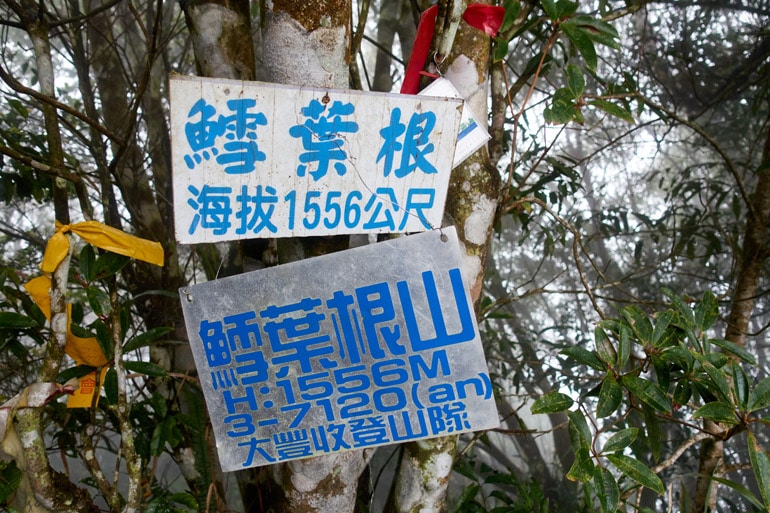 鱈葉根山 - XueYeGenShan featured image - two signs attached to tree