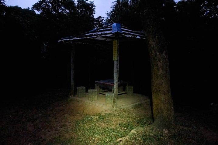 Covered gazebo-like area next to road - dark - tree in foreground