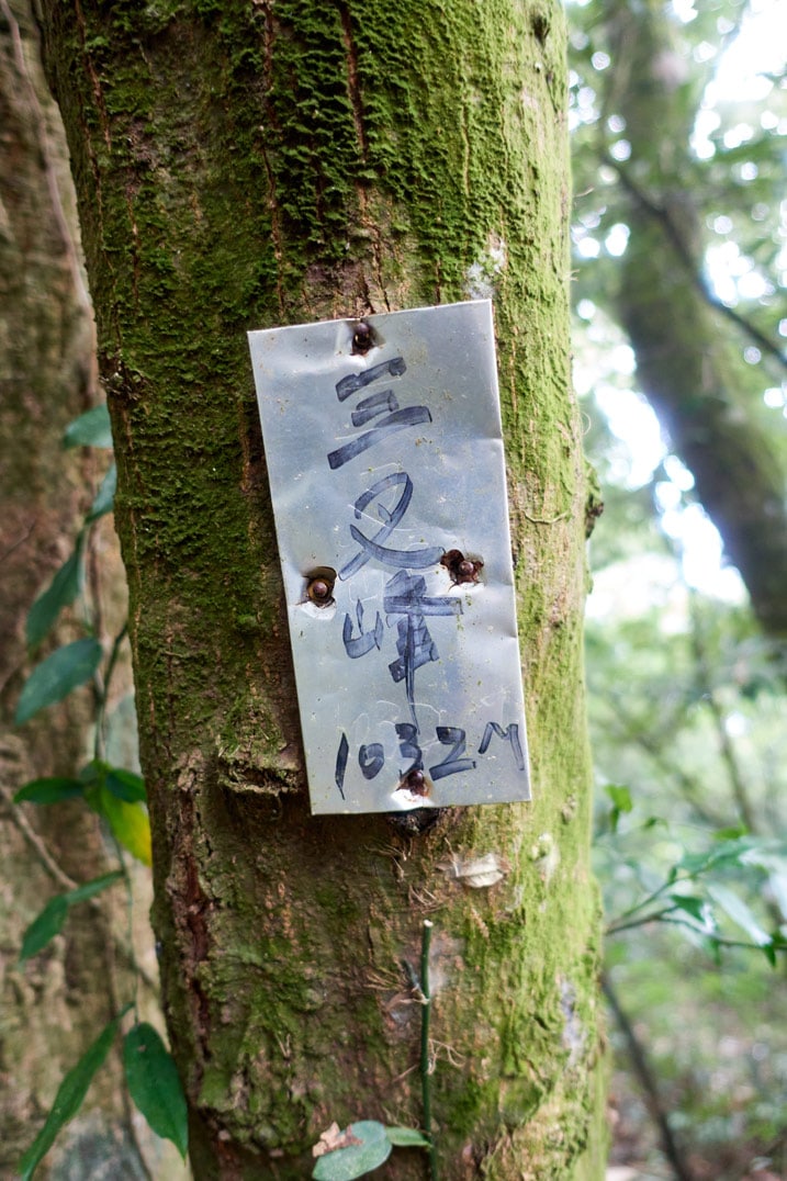 Metal sign nailed to a tree with Chinese words
