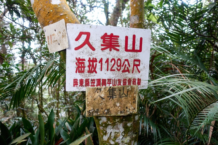 A few signs attached to a tree with Chinese writing - plants in background