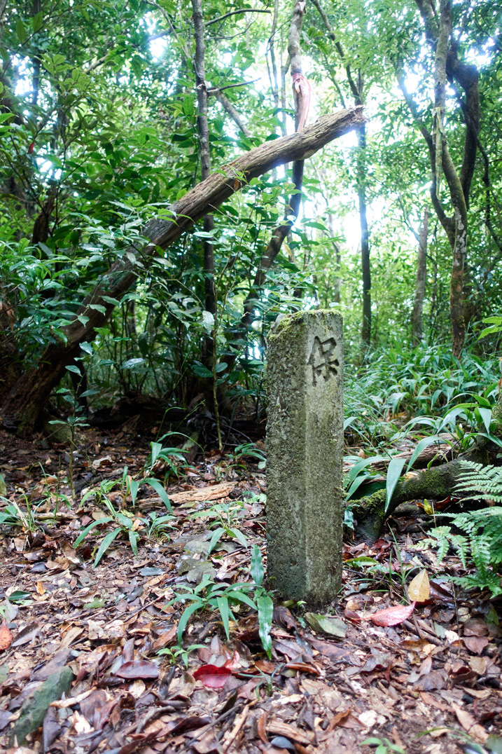 Concrete pillar with Chinese character sticking out of ground - trees in background