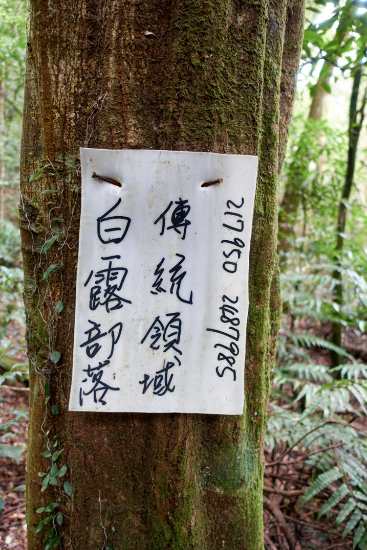 White sign attached to tree with black Chinese writing on it