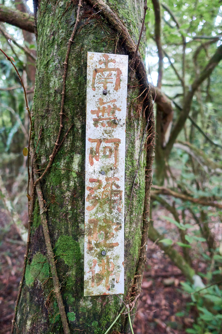 Old, long white sign attached to a tree for NanJiuBaoShan 南久保山