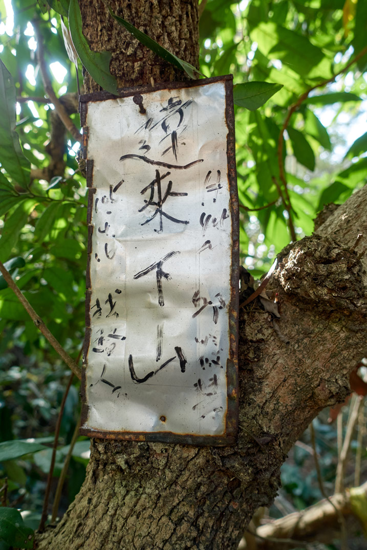 Old metal sign with writing on it attached to tree