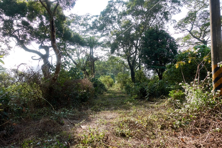 Open mountain ridge with trees on either side