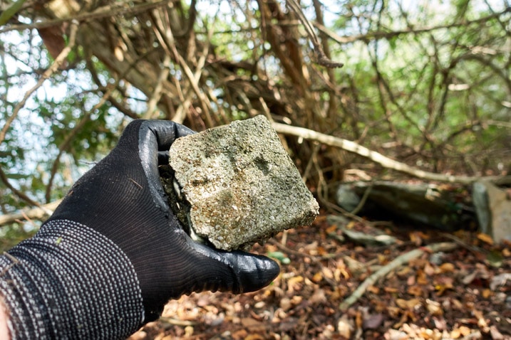 Gloved hand holding the top of a stone marker - trees in background