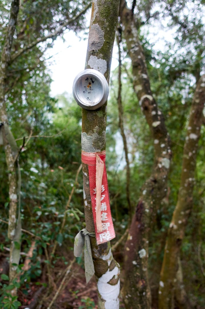 Bottom of soda can with faded Chinese writing attached to tree - red ribbon with white Chinese writing attached to tree below the can