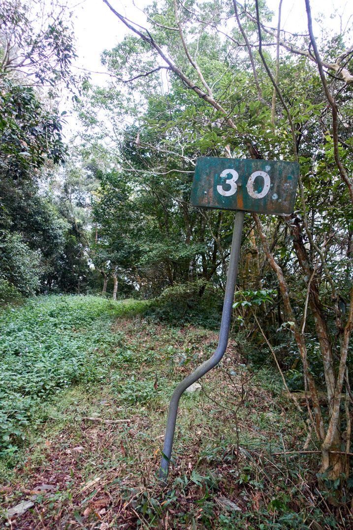 Old road sign with "30" written on it - old dirt road covered in grass - trees on either side