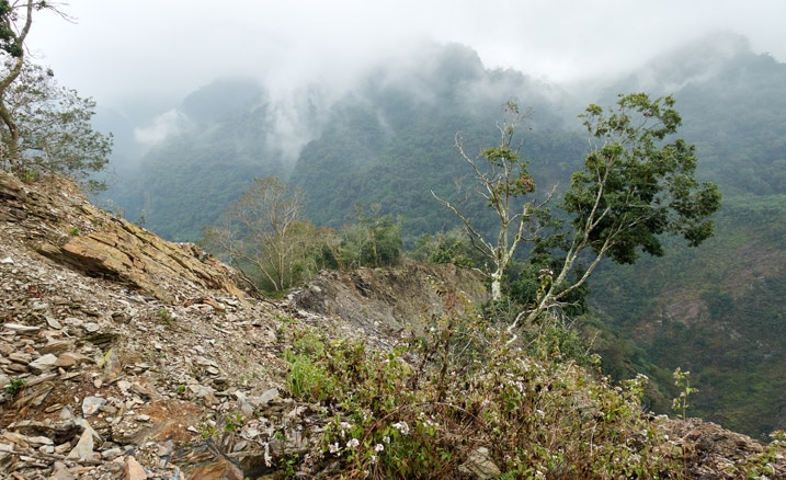 Eroding ridge - many trees and rocks - cloudy/foggy - mountain in background