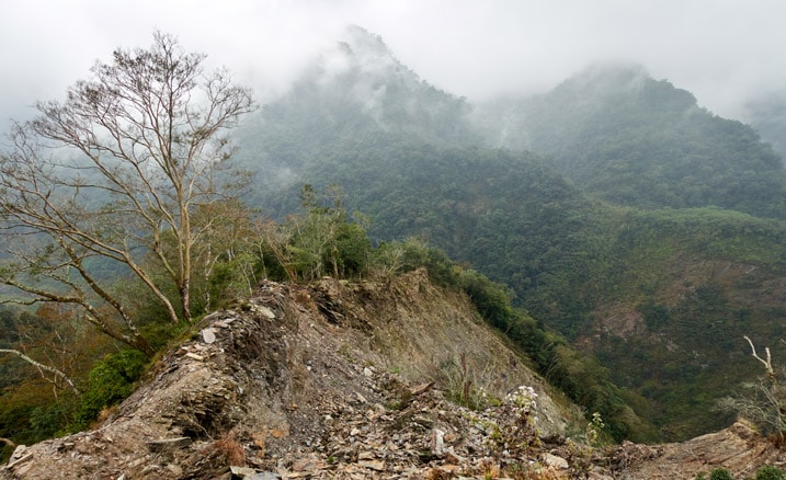 Eroding ridge - many trees and rocks - cloudy/foggy - mountain in background