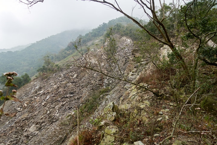 Large landslide - trees to right