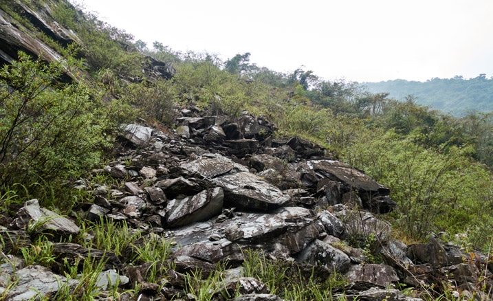 Looking up at old landslide - many boulders stacked on top of each other - vegetation growing all around them