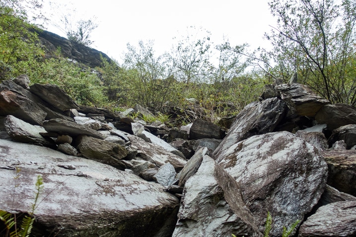 Looking up at old rock slide - many large boulders - vegetation mixed in 