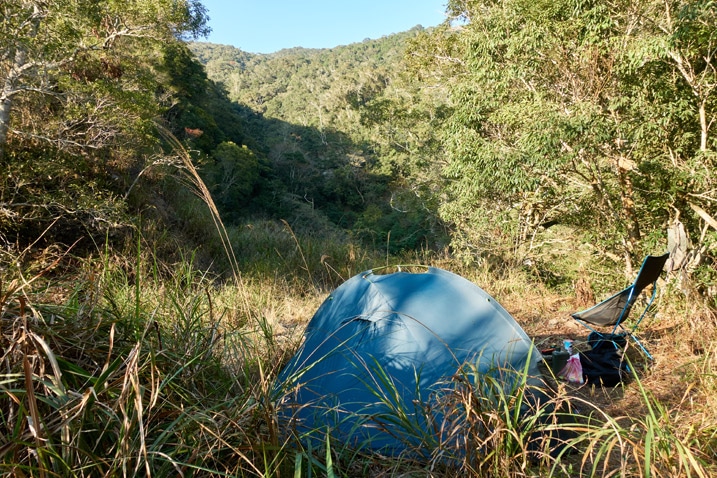 Blue tent and camp chair with tall grass in foreground - lots of trees in background - mountain just visible in distance - tiny bit of blue sky 