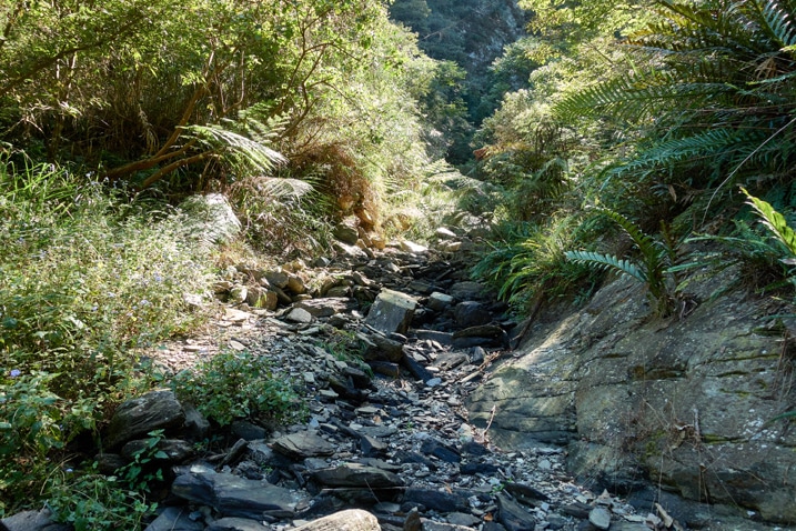 Dry mountain stream bed - rocky - trees on either side