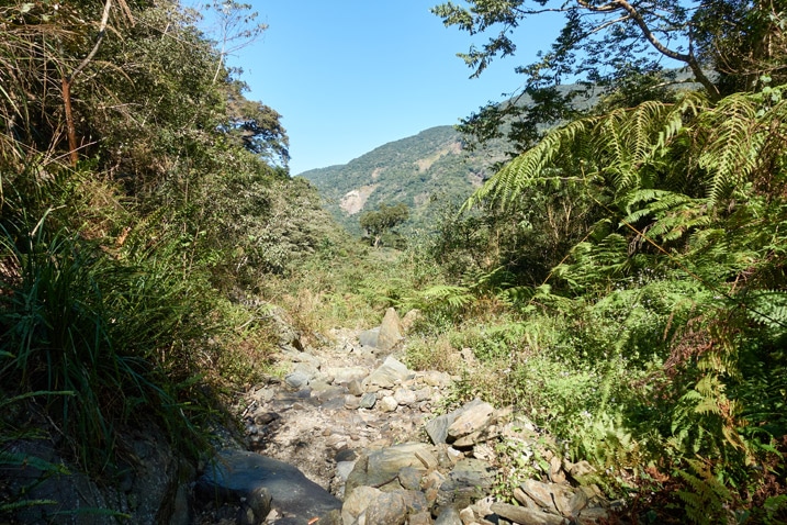 Mountain stream bed - rocky - dry - trees on either side - mountains in distance