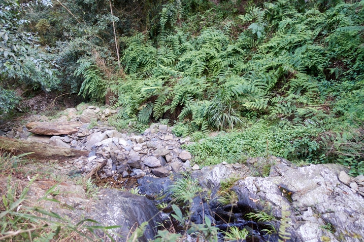 Looking down at stream - rocks and water - plants on other side